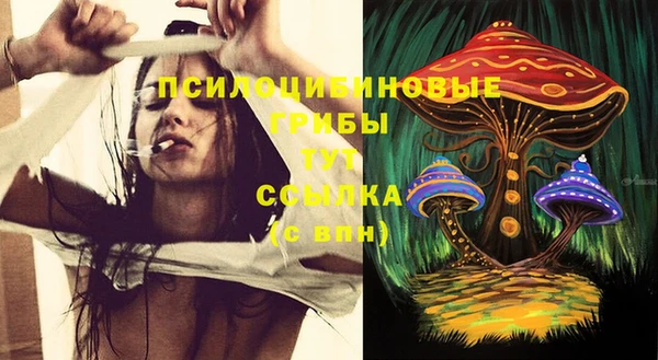 кокс Ельня