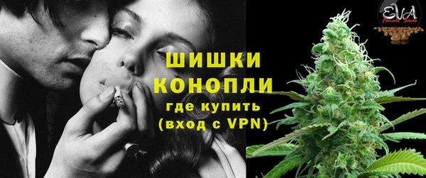 ГАЛЛЮЦИНОГЕННЫЕ ГРИБЫ Елизово